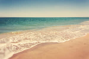 Aesthetic Beach billeder