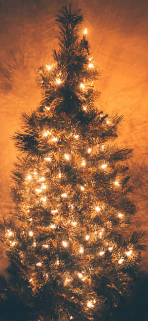 Jule iPhone baggrund — Fairphone Wallpapers