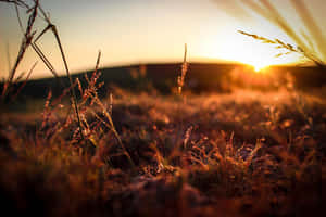 Smukke solnedgangsbilleder — Strandsolnedgang Wallpapers