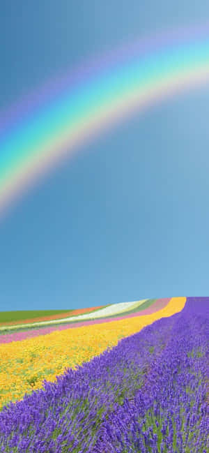 Pixel 3 Forårsbaggrund — OnePlus Ace Wallpapers