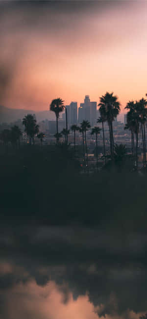 iPhone X Californien Baggrund — Twilight Wallpapers