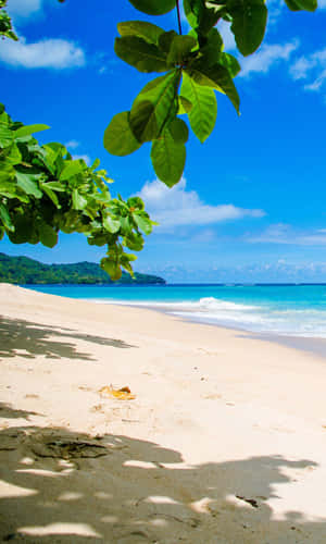 1200x2000 — Huawei Pura X View Wallpapers
