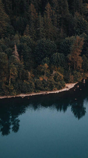 Sø ved en frodig skov set fra luften iPhone XR-baggrund — iPhone Xr Wallpapers