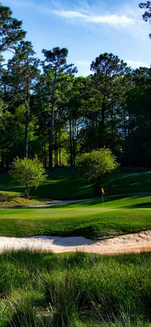 Iphone X golfbane baggrund — Samsung Galaxy S20 Wallpapers