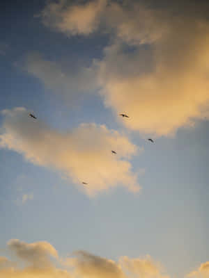 Æstetiske himmelbilleder — Æstetisk himmel Wallpapers