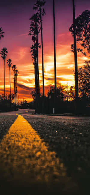 iPhone X Californien Baggrund — Realme Wallpapers