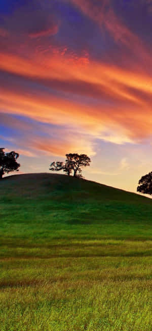 Iphone Xs California Baggrund — Samsung S23 Wallpapers