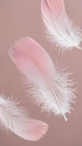 Sarte lyserøde og hvide ombre-fjer, der svæver blødt. — Lys pink æstetik Wallpapers
