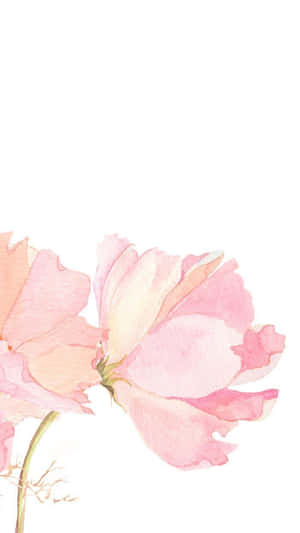 Lyserøde blomster