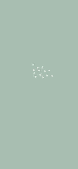Salviegrøn æstetik billeder — iPhone 16e Wallpapers