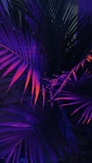 Livets æstetik — Mørk lilla æstetik Wallpapers