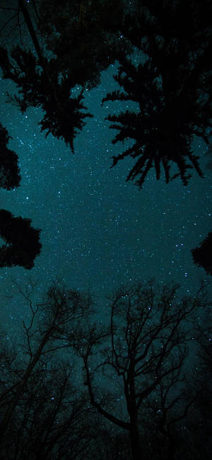 Oneplus Stjernehimmel wallpaper — iPhone 18 Wallpapers