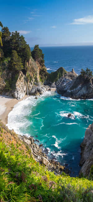 iPhone X Californien Baggrund — Kold Wallpapers