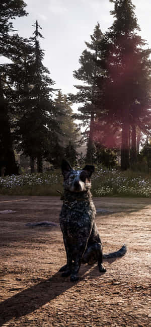 Iphone Xs Max Far Cry 5 Baggrund — 1170x2532 Wallpapers