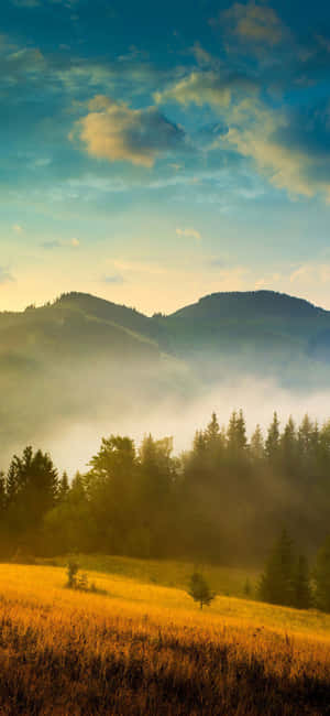 Oplev naturens skønhed med iPhone X — Xperia 10 Wallpapers