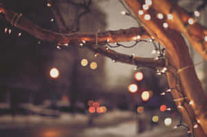 Julelys baggrund — Julelys Wallpapers