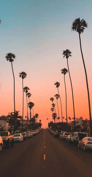 Æstetiske iPhone billeder — Pixel Fold Wallpapers
