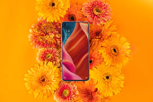 Oppo-smartphone og blomstrende flora