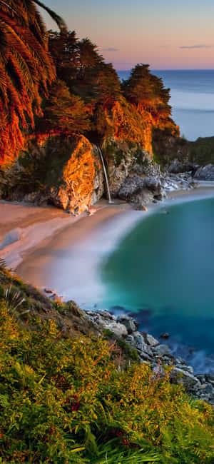iPhone X Californien Baggrund — Pixel 8a Wallpapers