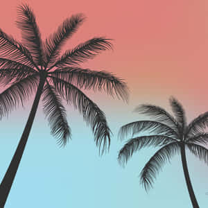 Palmetræer baggrund — iPad 10. generation Wallpapers