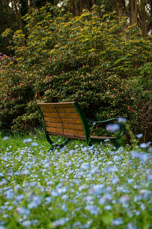 Parkbænk blå blomster telefon — Huawei MatePad 11.5 (2026) Wallpapers