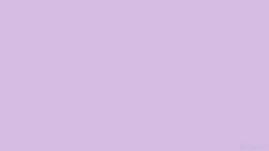 Pastel lilla baggrund — Pastel lilla GIF Wallpapers