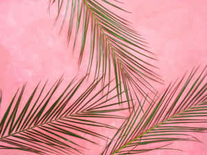 Pastel pink baggrund — Pastel pink Wallpapers