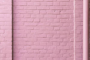 Pastel pink murstensvæg — Pastel pink Wallpapers