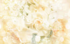 Pastelgul baggrund — Pastelgul æstetik Wallpapers