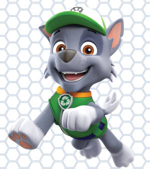 Paw Patrol Rocky wallpaper — Oppo Find N5 Wallpapers
