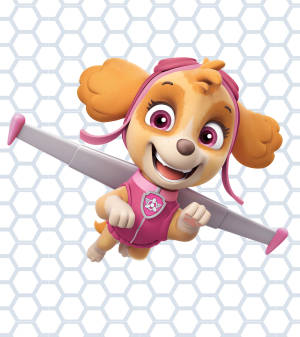 Paw Patrol Skye wallpaper — Oppo Find N Wallpapers