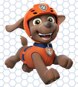 Paw Patrol Vandredder Zuma wallpaper — Vivo X Fold Wallpapers