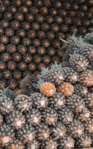 Organiserede ananas stablet sammen tapet — Galaxy Tab S Wallpapers
