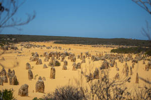 Perth Yanchep Nationalpark baggrund — Daggry Wallpapers