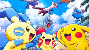 Pikachu Udvikler Seje Pokemon