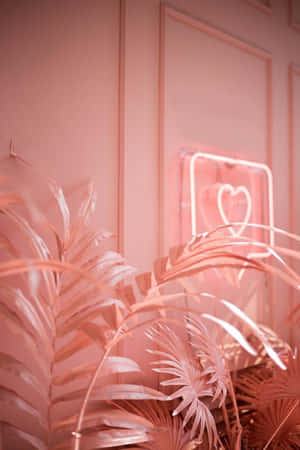Lyserød æstetiske billeder — Lys pink æstetik Wallpapers