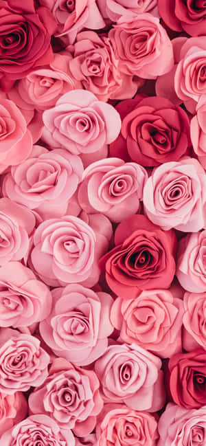Telefonbaggrund — Tecno Pop X Wallpapers
