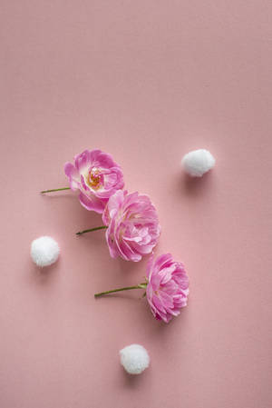 Pink vintage æstetik — Surface Wallpapers