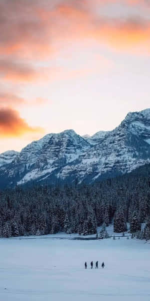 Pixel 3 vinterbaggrund — Vinteræstetik Wallpapers