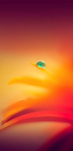 Pixel 3 XL Dråbe på orange gradient — Gradient Wallpapers