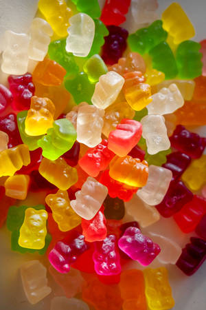 Portræt af seje gummibamser — Huawei MatePad Edge Wallpapers