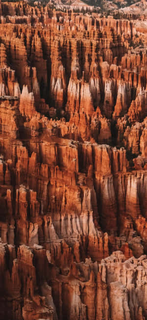 Pragtfulde røde spirer i Bryce Canyon National Park — Vivo X300 E Wallpapers