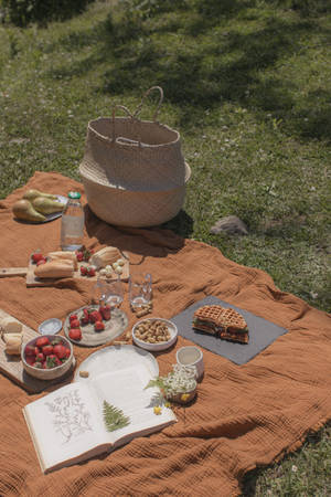 Preppy æstetisk picnic-baggrund — Preppy æstetik Wallpapers