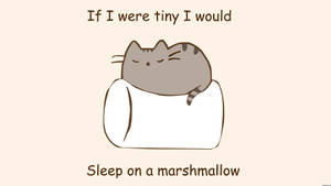 Pusheen sover på skumfidus wallpaper — Simpel Wallpapers