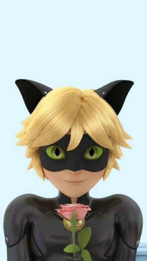 Cat Noir billeder — Cat Noir Wallpapers