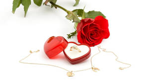 Hjerteformet ringæske med en gulddiamantring og guldkæde spredt ud på den hvide overflade med en langstilket rød rose i baggrunden til et frieri på Valentinsdag. — Ren Wallpapers