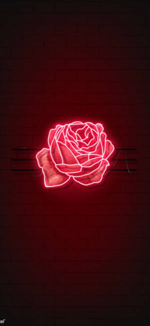 Rød rose LED-lys tapet — iPhone 11 Pro Wallpapers