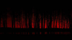 Sort horror rød skov — Mørk skov Wallpapers