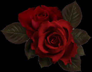 Billede - Røde blomster æstetisk PNG, transparent PNG