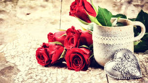 Røde roser til Valentinsdag tapet — 16:9 Wallpapers